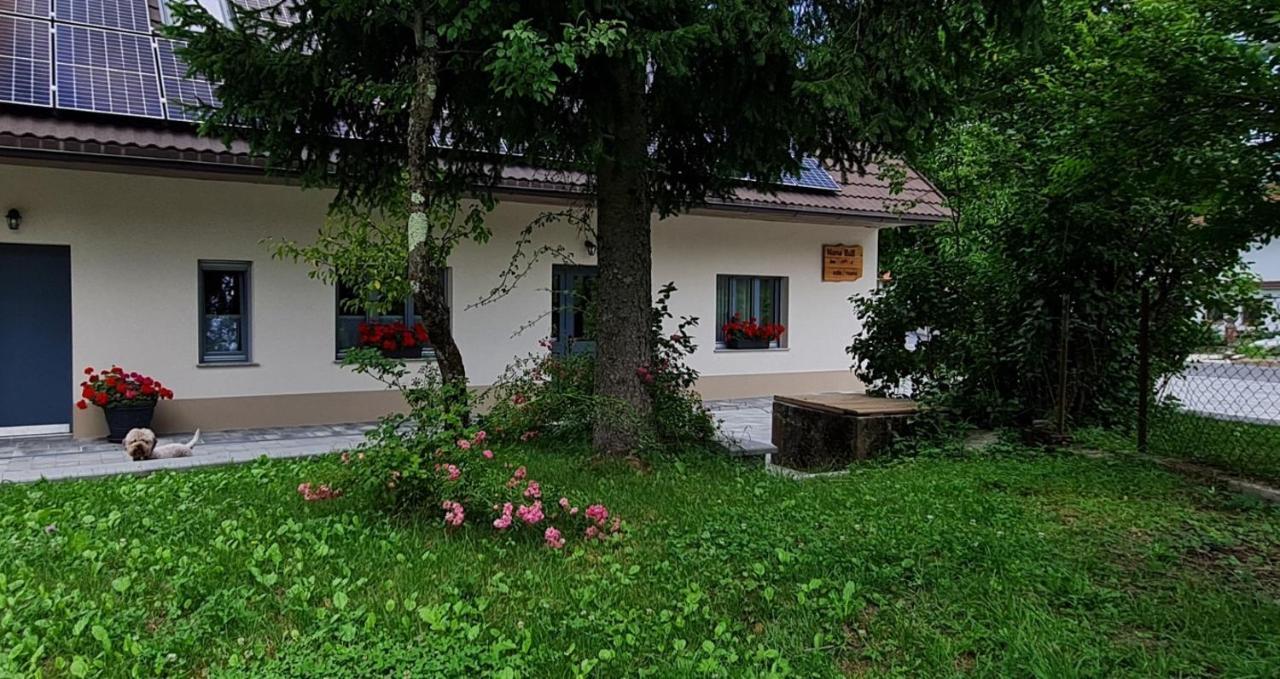 Bed and Breakfast Nona Bb à Postojna Extérieur photo