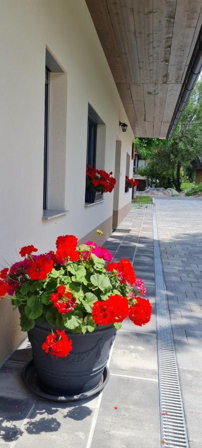 Bed and Breakfast Nona Bb à Postojna Extérieur photo